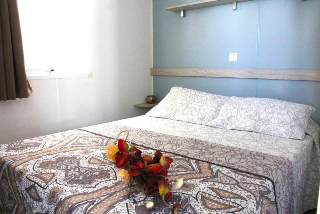 mobil home trigano evo 29 18 (Copy)