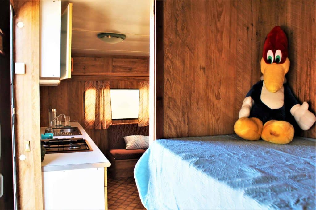 mobilhome cuni 16