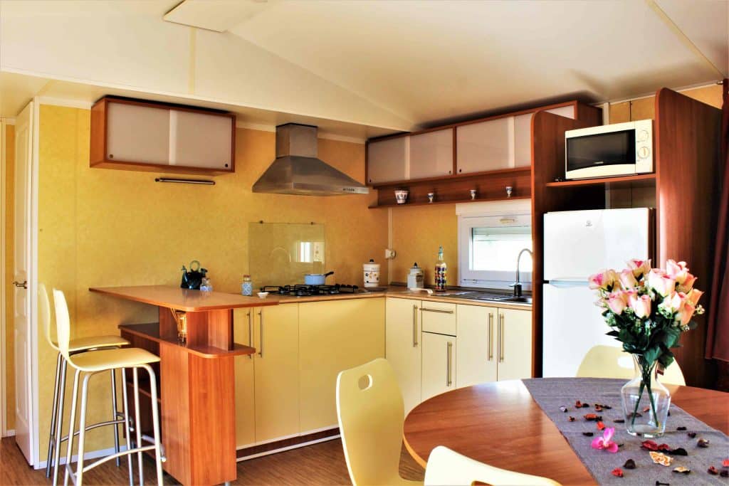 mobil home sun living 9
