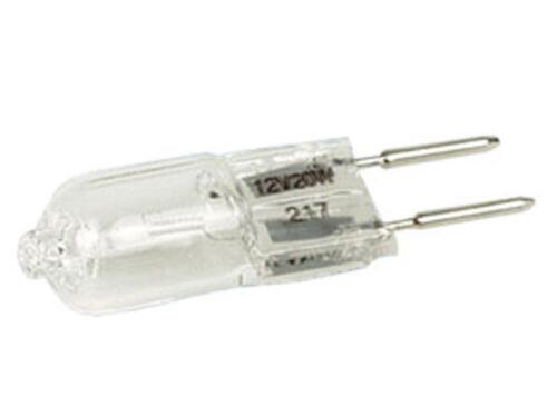 17284 FOTO 320ELECTRICIDAD BOMBILLAS12V20WG4 IMG1