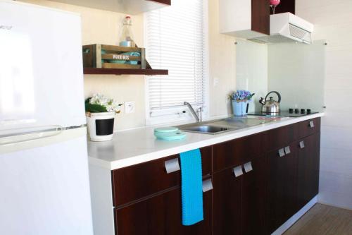 mobil-home-cuni-ohara-family-cottage-D135-15