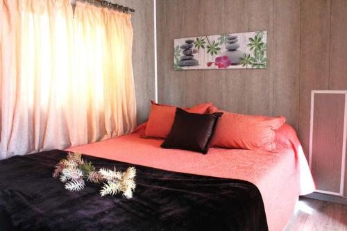 mobil-home-hergo-triton-15-Copy