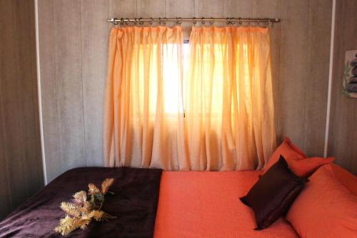 mobil-home-hergo-triton-18-Copy