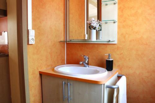 mobil-home-rapidhome-loft-31