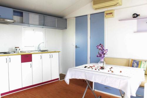 IMG 8413-mobilhome-sun-living-4
