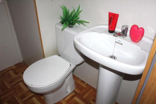 mobil-home-segunda-mano-benimar-cuni-21
