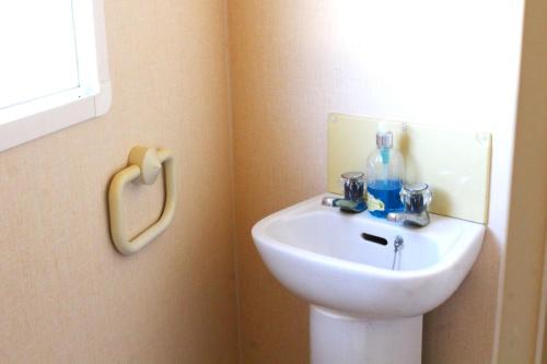 mobil-home-cosalt-22