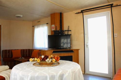 mobil-home-cosalt-7