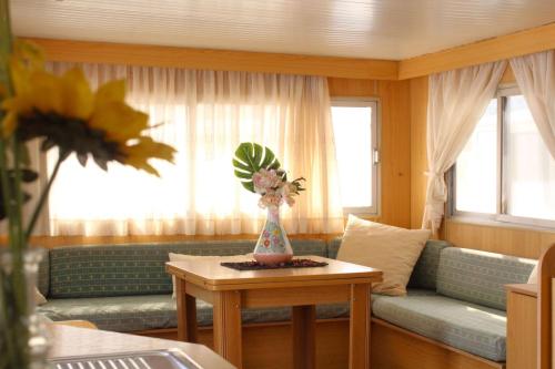 mobil-home-segunda-mano-verde-14