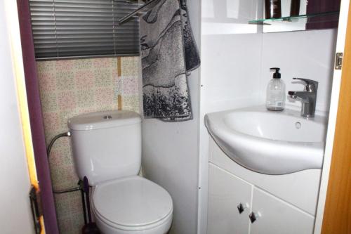 mobil-home-segunda-mano-verde-26