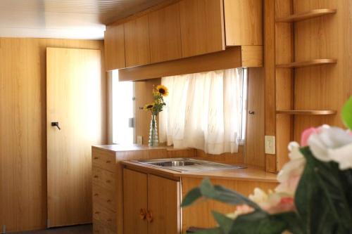 mobil-home-segunda-mano-verde-9